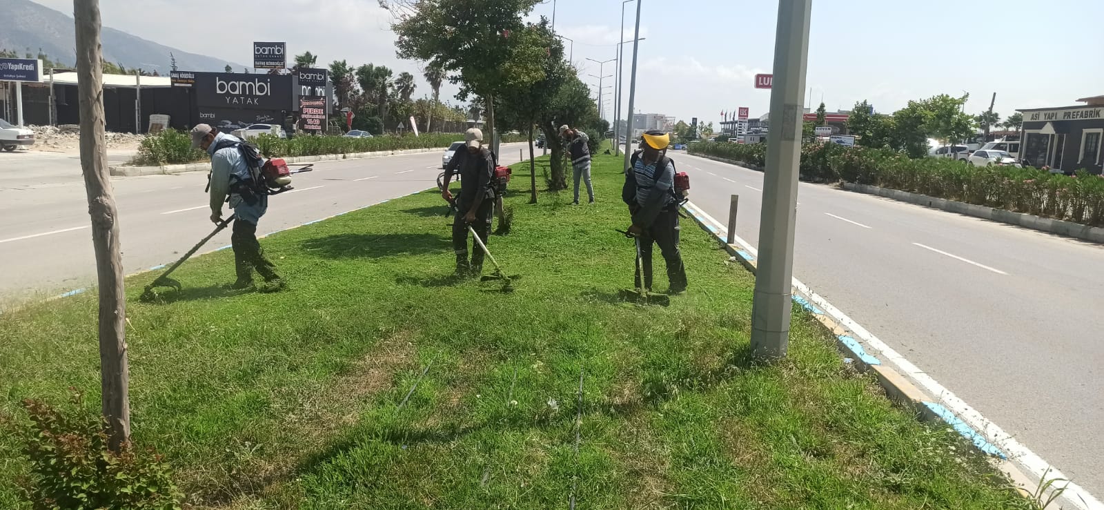 WhatsApp Image 2024-06-25 at 16.21.13