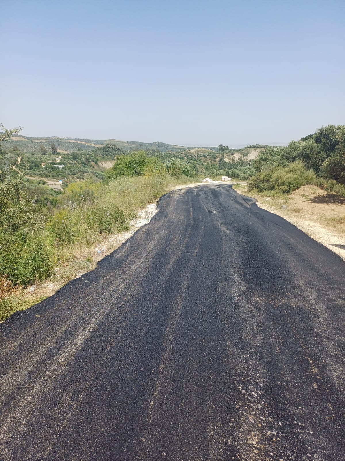 WhatsApp Image 2024-06-25 at 16.21.16