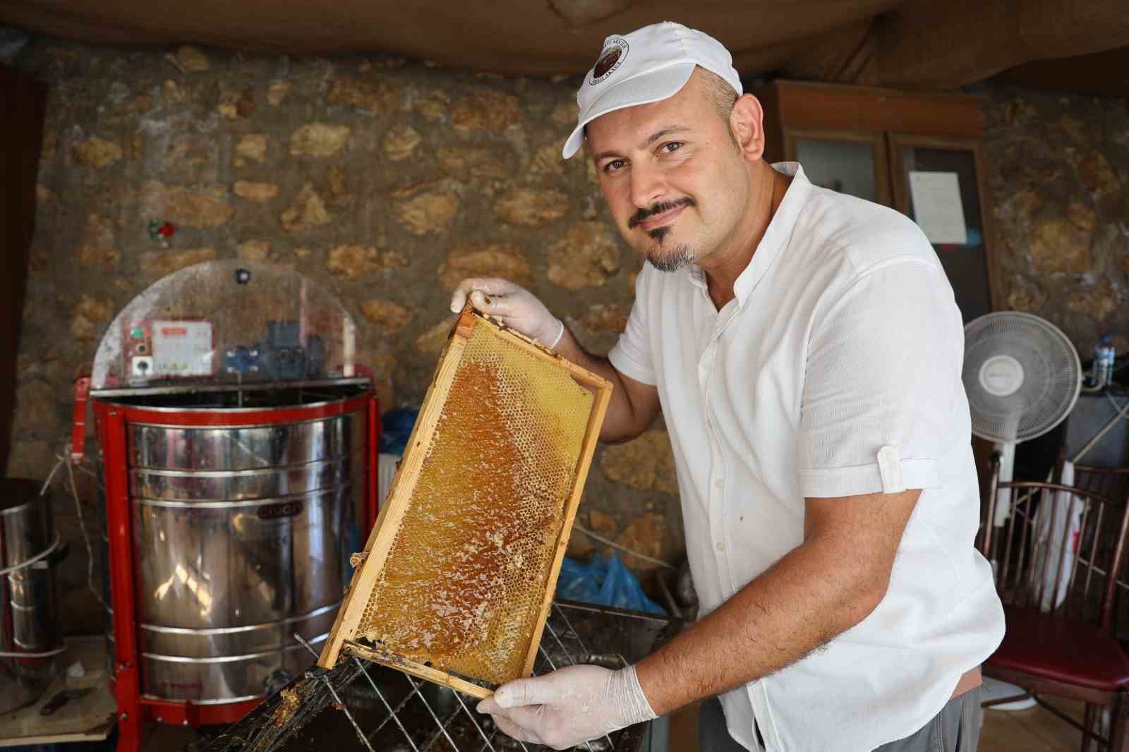 DEPREMZEDE ARICININ YÜZÜ BEREKETLİ GEÇEN ERKEN BAL HASADIYLA GÜLDÜ 350 ARI KOVANIYLA HASADA BAŞLAYAN İSMAİL AKYÜZ: "GEÇEN YILKİ HASADA GÖRE BU YILKİ HASADIMIZ DAHA VERİMLİ OLDU"