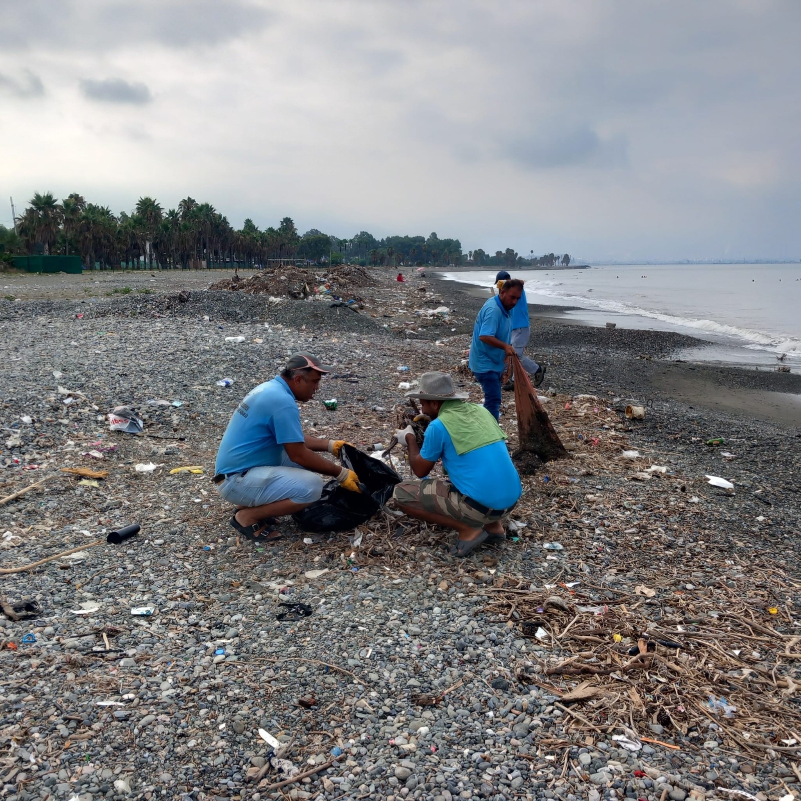 WhatsApp Image 2024-07-01 at 09.47.28