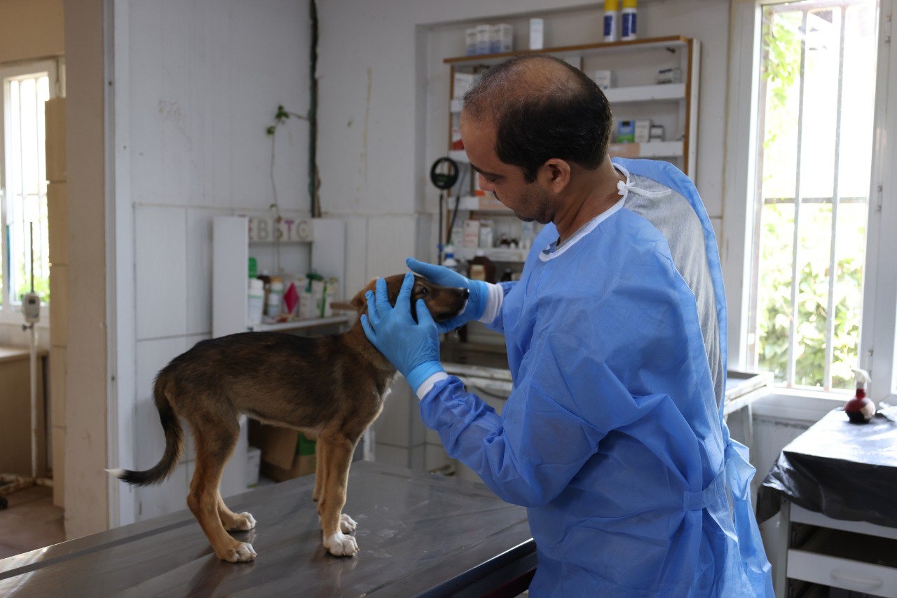 WhatsApp Image 2024-07-09 at 15.46.38