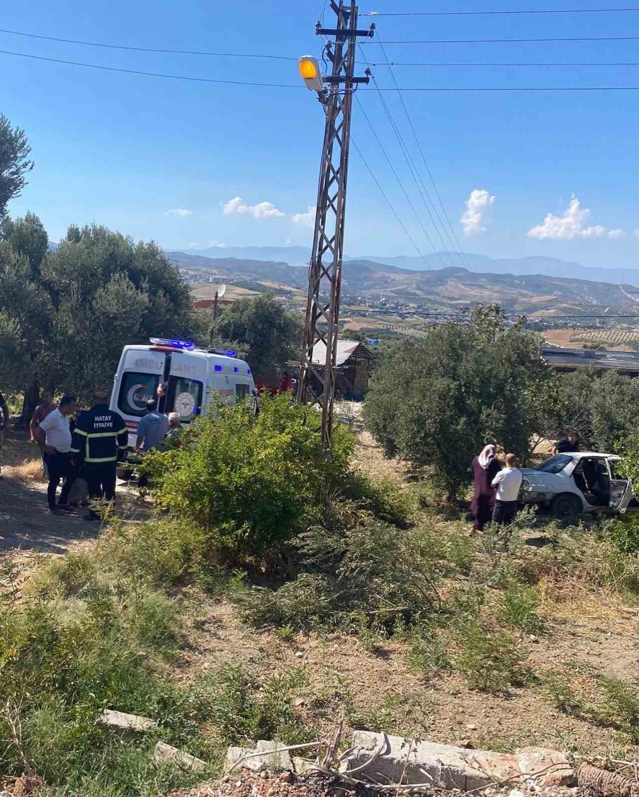 Zeytinliğe uçan otomobildeki 2 kişi yaralandı