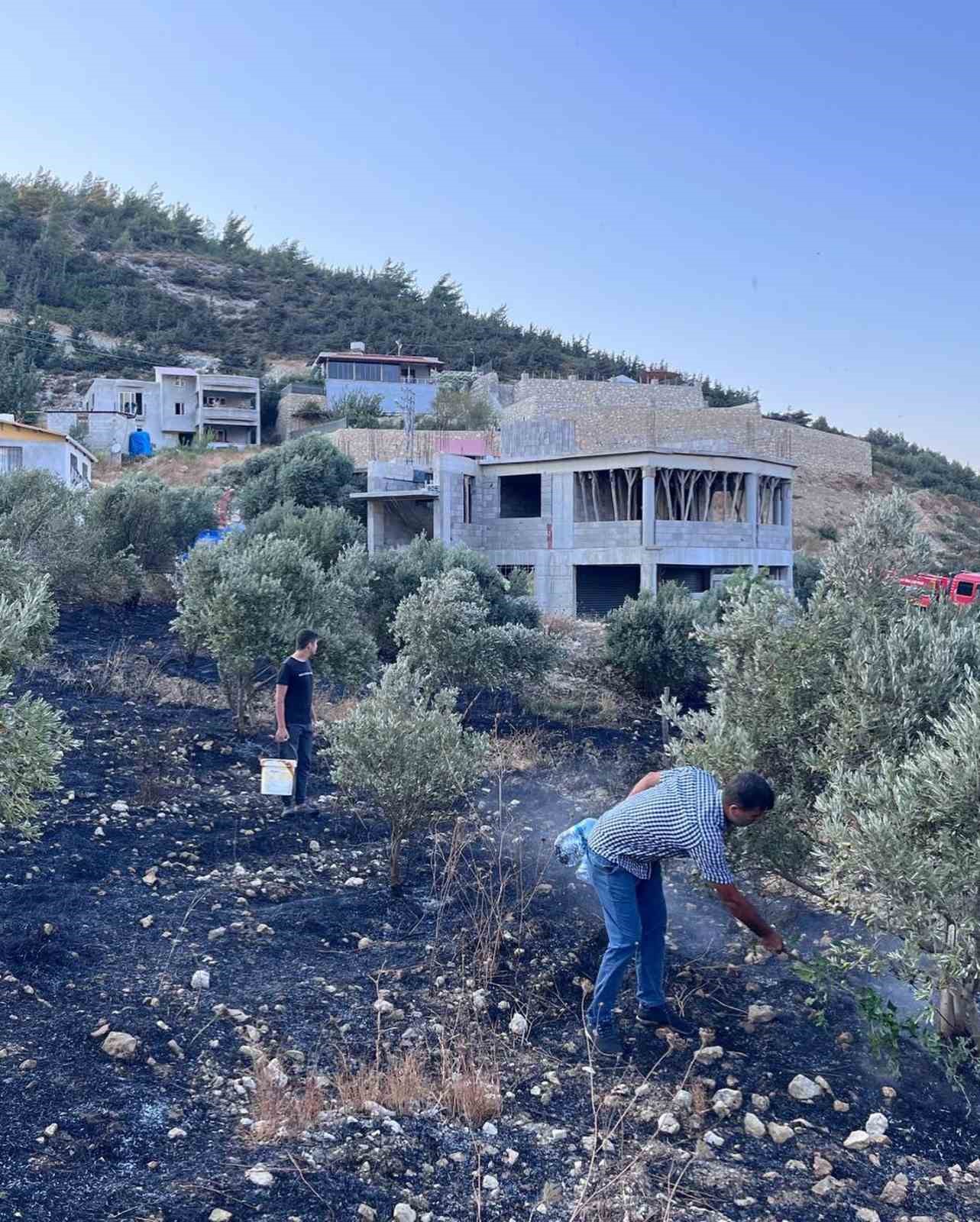 ANTAKYA’DA ZEYTİNLİK ALANDA ÇIKAN YANGIN BÜYÜMEDEN SÖNDÜRÜLDÜ
