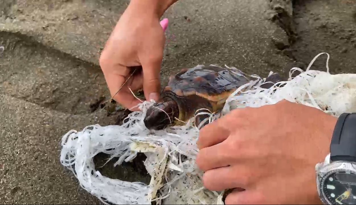 HBB CANKURTARANLARI TÜM HAYATLARI KORUYOR