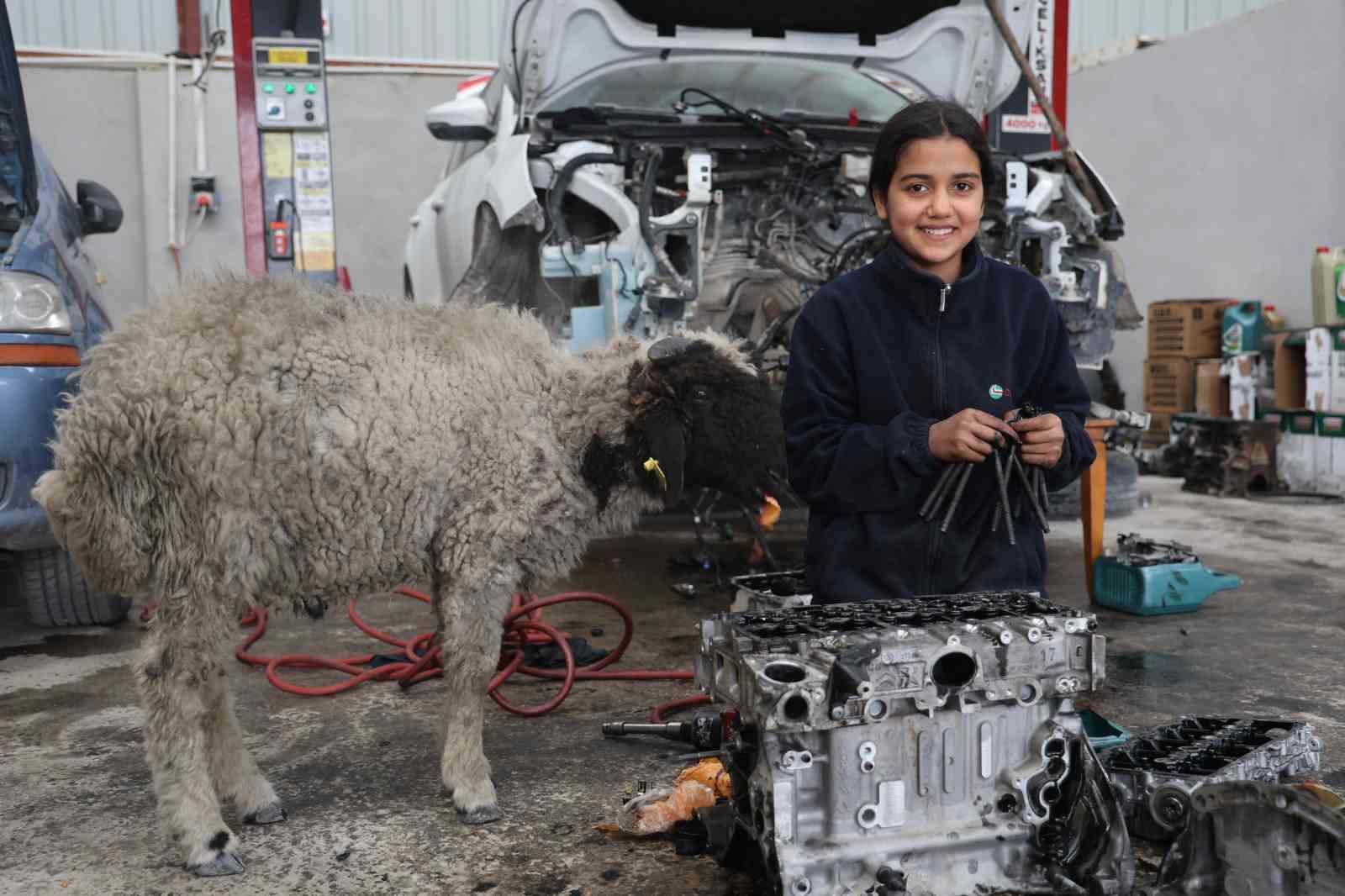 Oto tamirhanesinin 14 yaşındaki Nehir ustasının yeni mesai arkadaşı müşterisinin hediye ettiği kuzu oldu