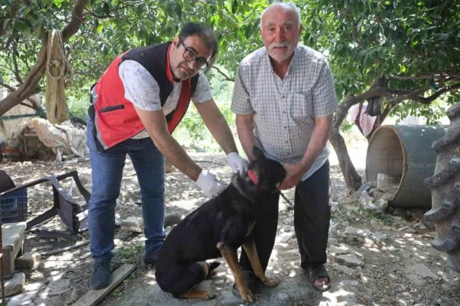 HATAY'DA 4 MAHALLEDE KUDUZ KARANTİNASI
