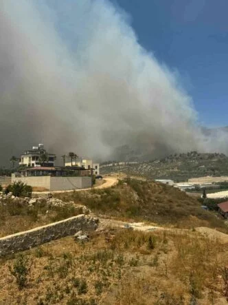 HATAY’DA ORMAN YANGINI