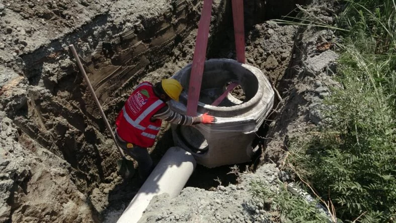 WhatsApp Image 2025-07-25 at 11.17.34