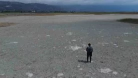 Kuraklığın etkisiyle çöle dönen Milleyha’da kuş gözlemcileri gelecekten ümitli