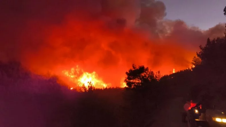 HATAY'DA ORMAN YANGINI