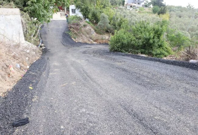 WhatsApp Image 2025-08-04 at 16.38.48