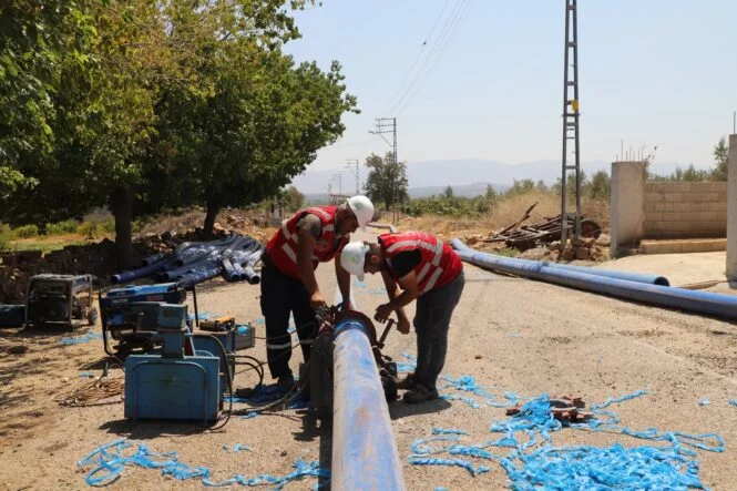 WhatsApp Image 2025-08-05 at 16.44.57