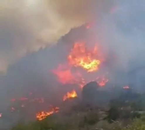 Kırıkhan’da orman yangını