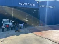 Özova Tarım’dan Amik Ovası’nda İlk Pamuk Alımı