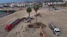 HBB’DEN AĞAÇLARA YENİ YAŞAM ALANI