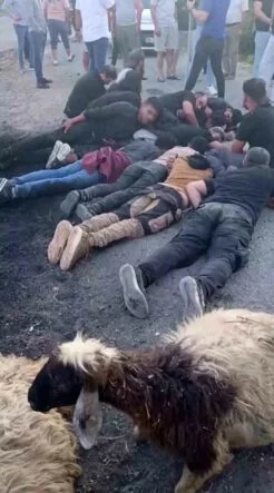 KOYUN SÜRÜSÜNE ÇARPAN İNSAN KAÇAKÇISI, ARACI VE GÖÇMENLERİ BIRAKIP KAÇTI