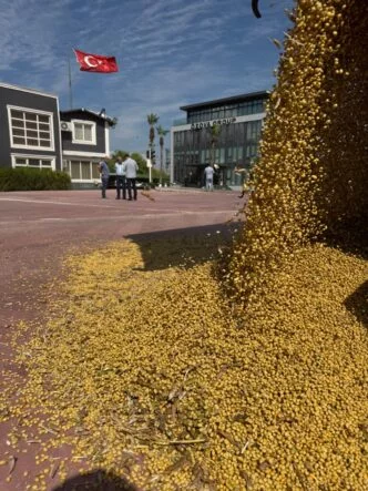 Soya Sezonu Özova Tarım ile Başladı