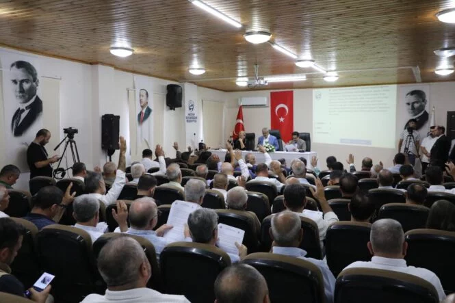 WhatsApp Image 2025-09-12 at 08.25.36 (1)