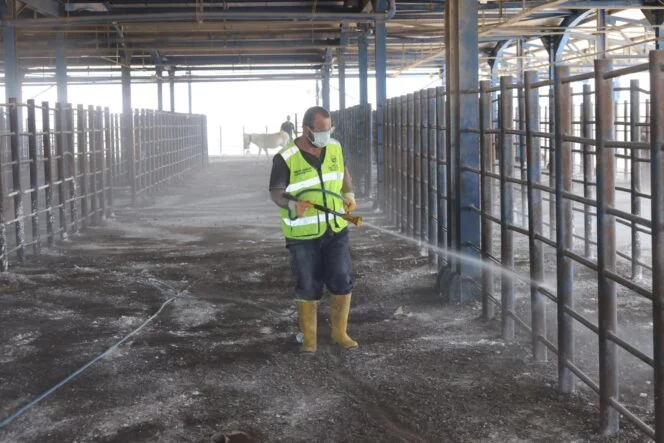 WhatsApp Image 2025-09-24 at 08.09.07