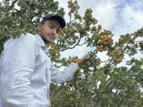 Şifa deposu alıçta hasat başladı: Kilogram fiyatı 200 TL’den alıcı buluyor