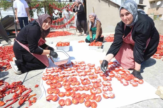 Afetzede kadınların kuruttuğu domatesler, kış aylarında sofraları süslüyor
