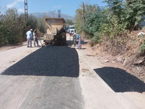 WhatsApp Image 2025-10-07 at 15.05.07 (1)