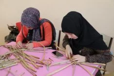 GÖLBAŞI GÖLÜ’NDE SU SÜMBÜLLERİ EKONOMİYE KAZANDIRILIYOR