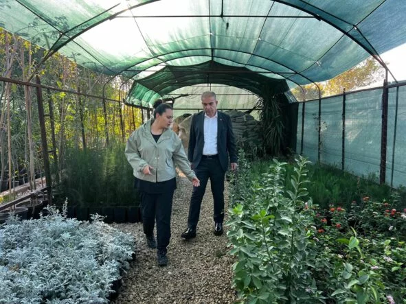 BAŞKAN ÇELİK’TEN KIRIKHAN’A YEŞİL DOKUNUŞ