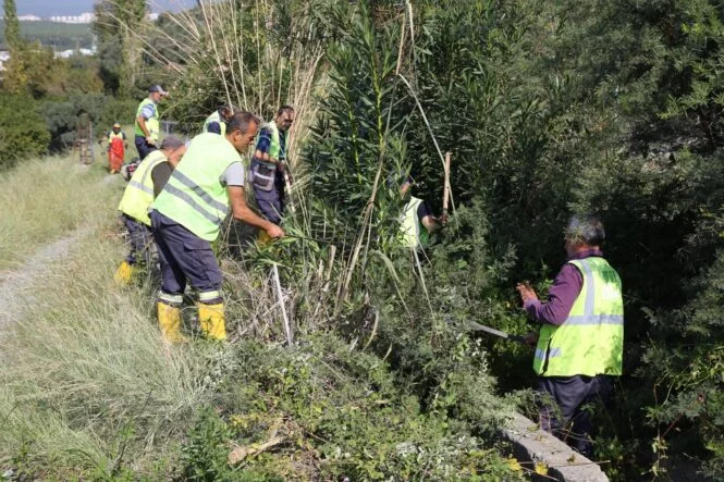 WhatsApp Image 2025-11-14 at 10.38.08