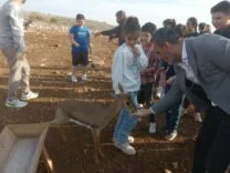 GAZELLA GAZELLA ÇOCUK KOROSU’NDAN HATAY DAĞ CEYLANLARI TESİSİNE ZİYARET