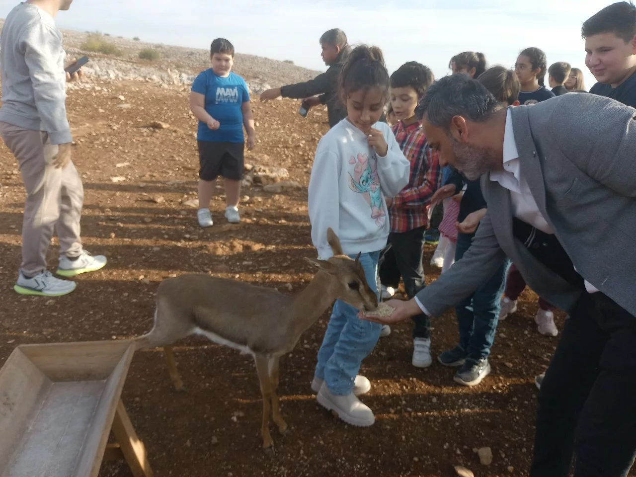 GAZELLA GAZELLA ÇOCUK KOROSU’NDAN HATAY DAĞ CEYLANLARI TESİSİNE ZİYARET