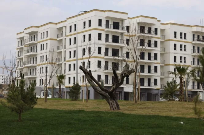 WhatsApp Image 2025-12-16 at 10.42.47