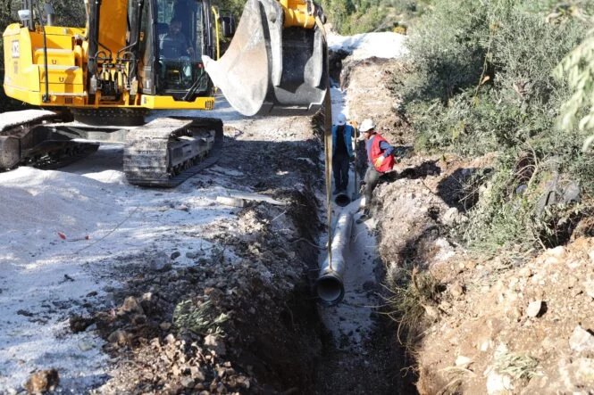 WhatsApp Image 2026-01-06 at 14.58.20