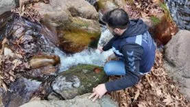 WhatsApp Image 2026-01-09 at 14.10.07