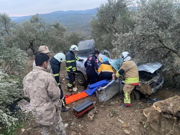 ZEYTİNLİĞE UÇAN OTOMOBİLİN SÜRÜCÜSÜ YARALANDI