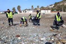 WhatsApp Image 2026-02-17 at 08.52.03