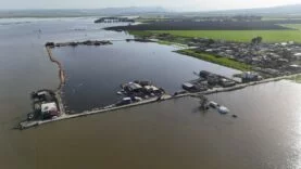 AMİK OVASI'NDA ŞİDDETLİ YAĞIŞLA BİRLİKTE TARIM ARAZİLERİ VE EVLER GÜNLERDİR SULAR ALTINDA