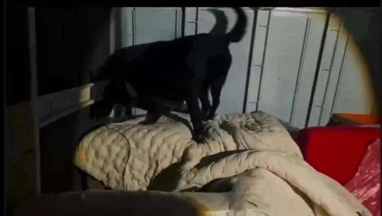 Kamyonet kasasında battaniyeyle saklanan 11 kilo 200 gram uyuşturucu yakalandı