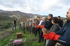 TEDAVİSİ TAMAMLANAN YIRTICI KUŞLAR ÖZGÜRLÜĞE KANAT ÇIRPTILAR