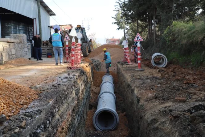 WhatsApp Image 2026-03-06 at 10.14.08