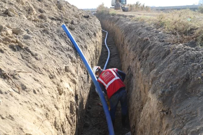 WhatsApp Image 2026-03-17 at 12.40.26