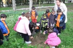 WhatsApp Image 2026-04-03 at 11.26.23