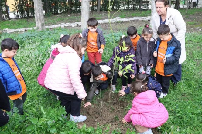 WhatsApp Image 2026-04-03 at 11.26.23