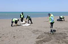 WhatsApp Image 2026-04-17 at 08.59.41