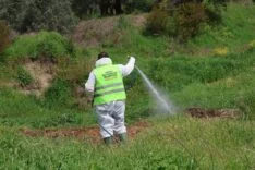 WhatsApp Image 2026-04-17 at 08.59.45