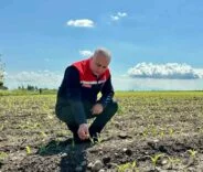 KIRIKHAN’DA MISIR EKİLİ ALANLAR İNCELENDİ