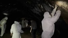 GÜÇLÜKLE GİRİLEBİLEN LAV TÜPÜ MAĞARASI MEST ETTİ
