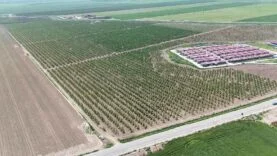 MESAİLERİ BAŞLAYAN TARIM İŞÇİLERİ, AMİK OVASI'NDA BİN 100 TL YEVMİYE ALACAK