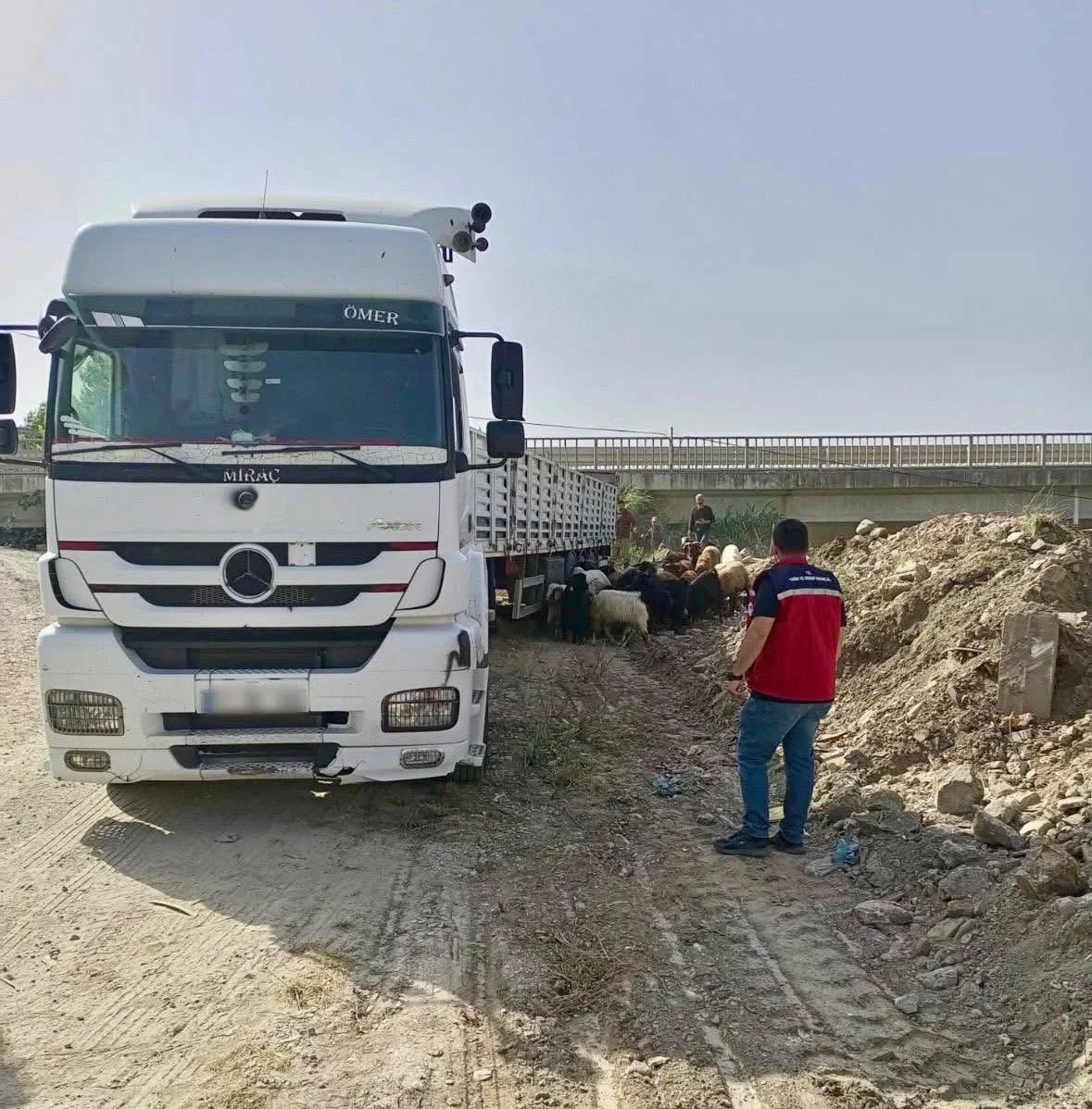 Hatay’da Kurban Bayramı öncesi hayvan sevkiyatlarına sıkı denetim