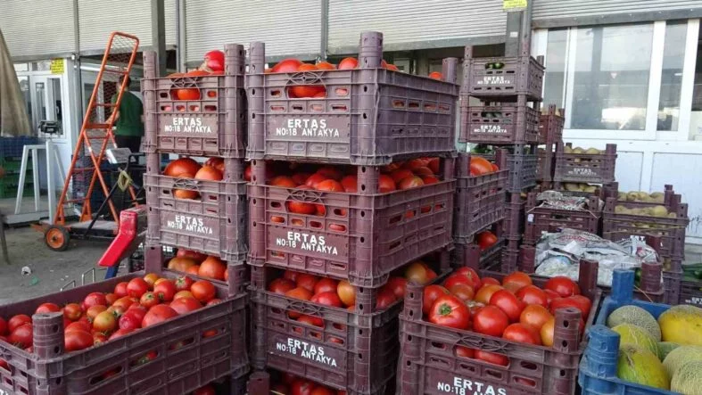 SEBZE HALİNDEKİ DOMATESİN FİYATI 15 TL'YE DÜŞTÜ
